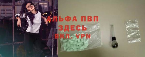 СК Алзамай
