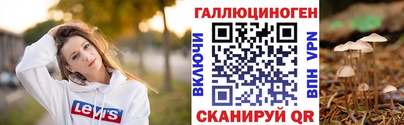 Галлюциногенные грибы Psilocybine cubensis блэк спрут tor Ува цена наркотик
